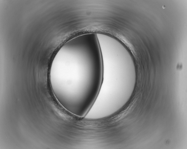 X0000094350493200711021316