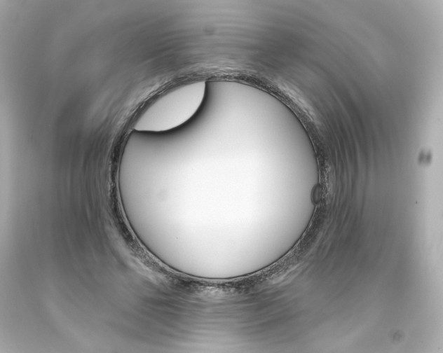 X0000094350494200711021316