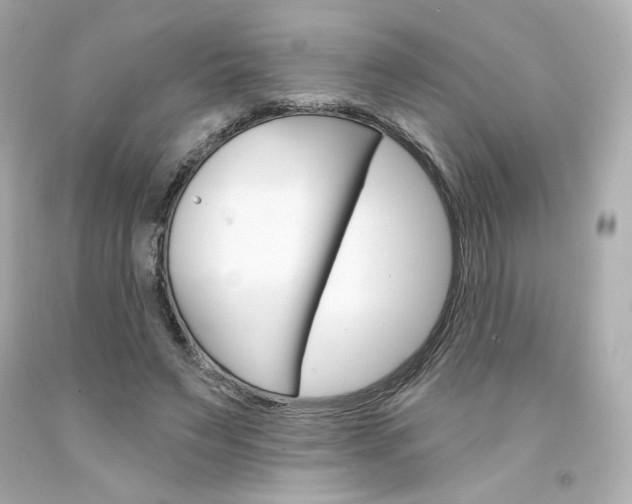 X0000094350495200711021316