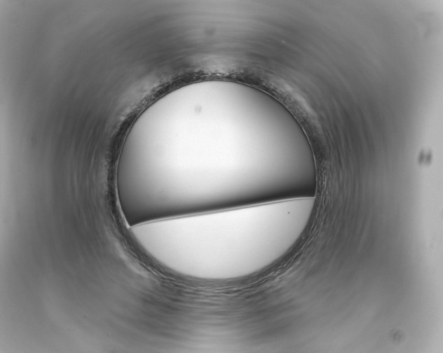 X0000094350496200711021316