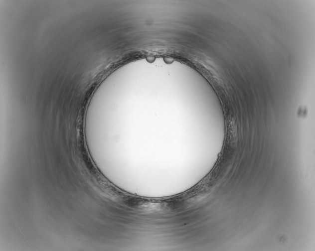 X0000094350499200711021316