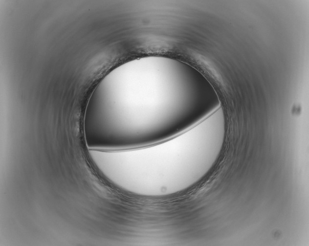X0000094350501200711021316