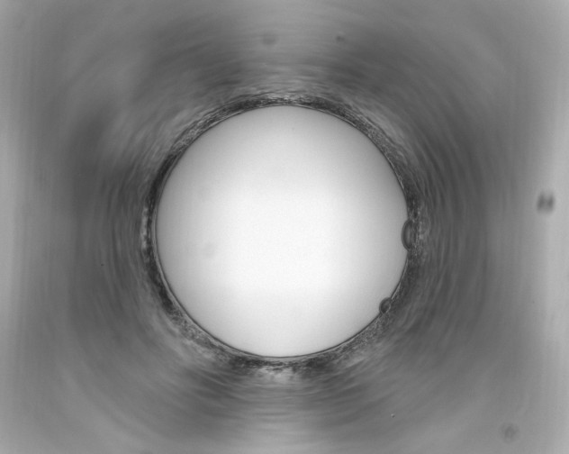 X0000094350502200711021316