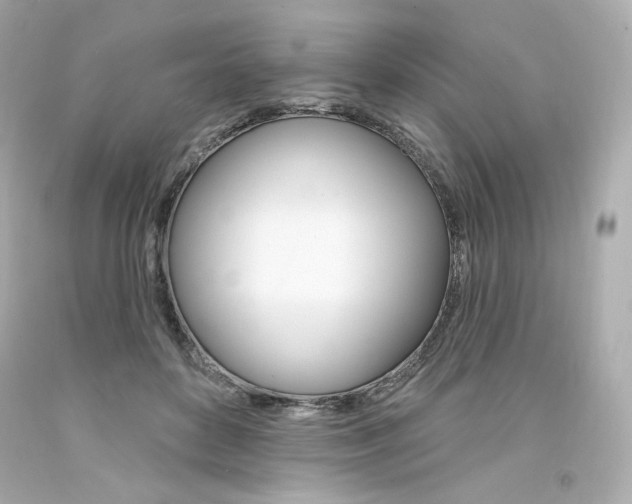 X0000094350504200711021316