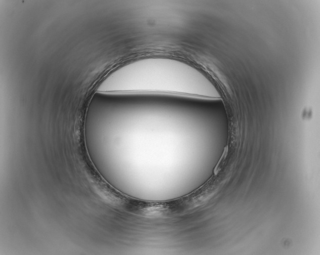 X0000094350505200711021316