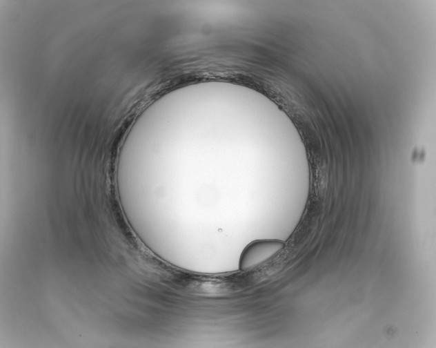 X0000094350506200711021316
