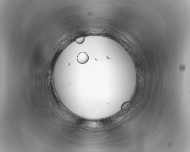 X0000094350507200711021316