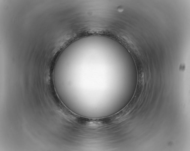 X0000094350508200711021316