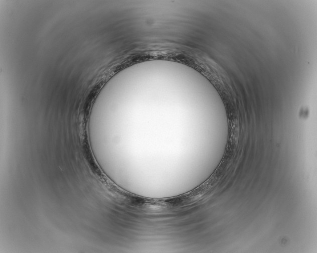 X0000094350510200711021316