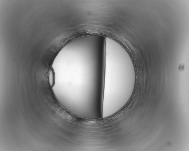 X0000094350513200711021316