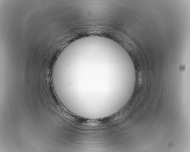X0000094350514200711021316