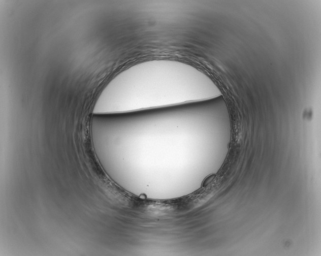 X0000094350515200711021316