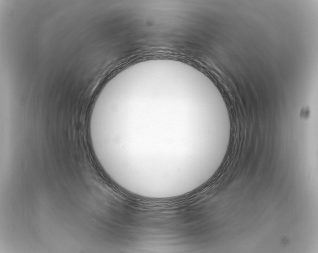 X0000094350516200711021316