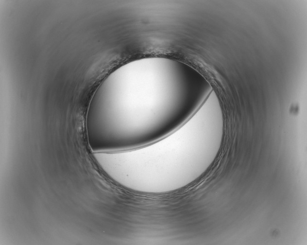 X0000094350517200711021316