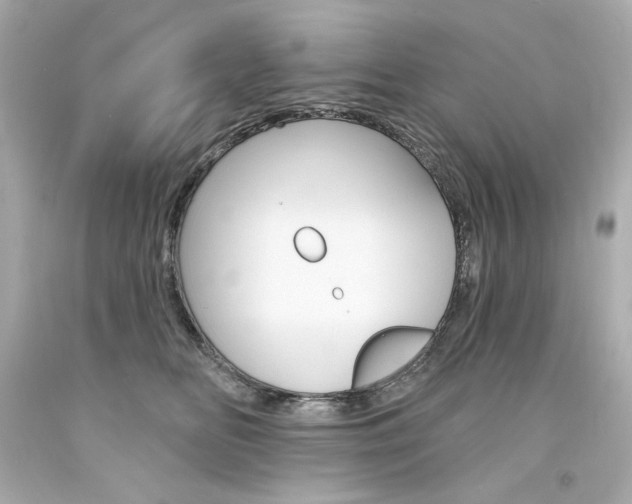 X0000094350518200711021316