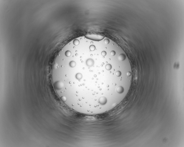 X0000094350519200711021316