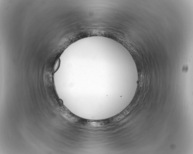 X0000094350522200711021316