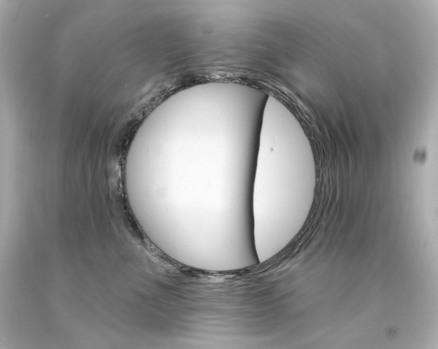 X0000094350523200711021316