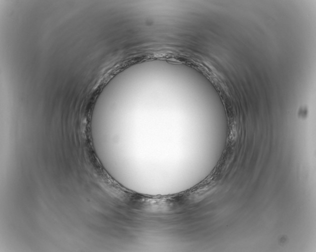 X0000094350524200711021316