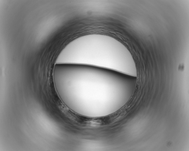 X0000094350525200711021316