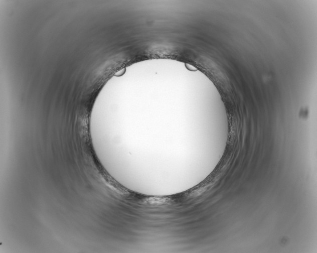 X0000094350526200711021316