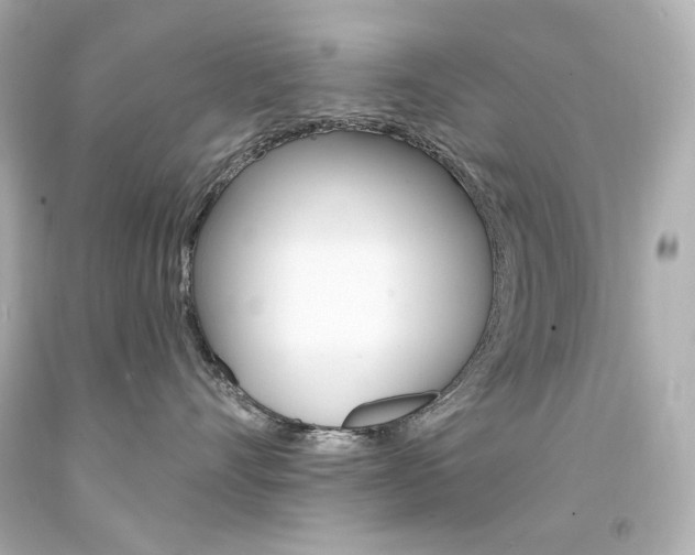 X0000094350528200711021316