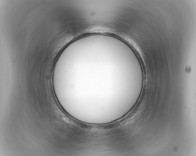 X0000094350529200711021315