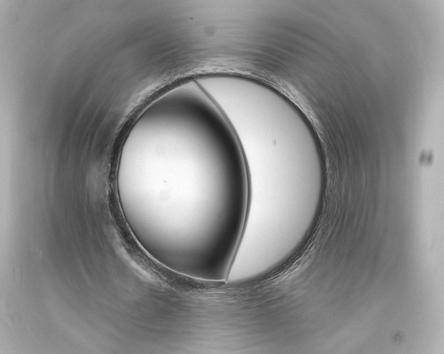 X0000094350530200711021315