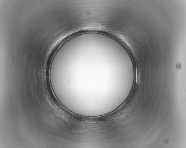 X0000094350531200711021315