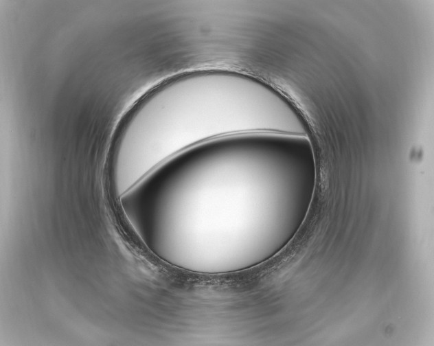 X0000094350532200711021315