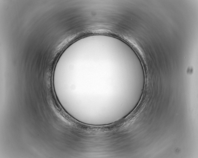 X0000094350533200711021315