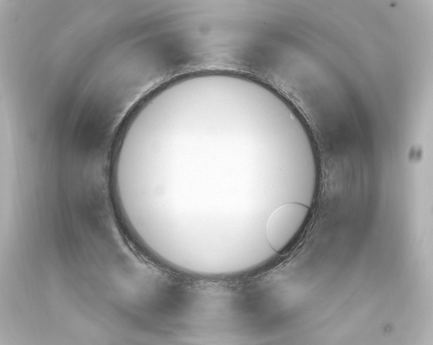 X0000094350534200711021315