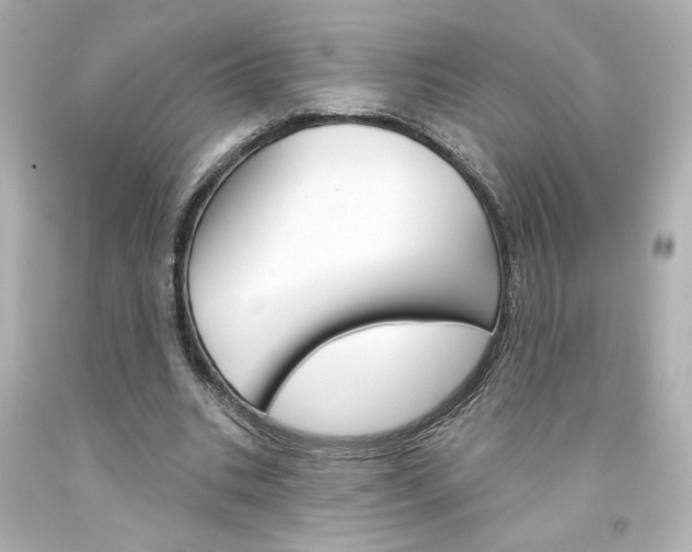 X0000094350535200711021315