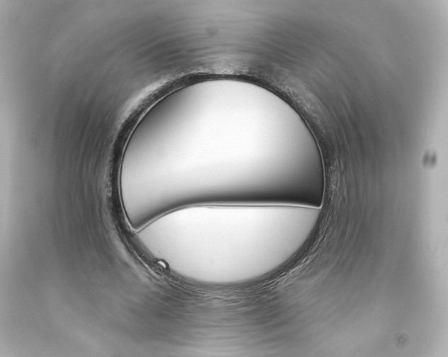 X0000094350536200711021315