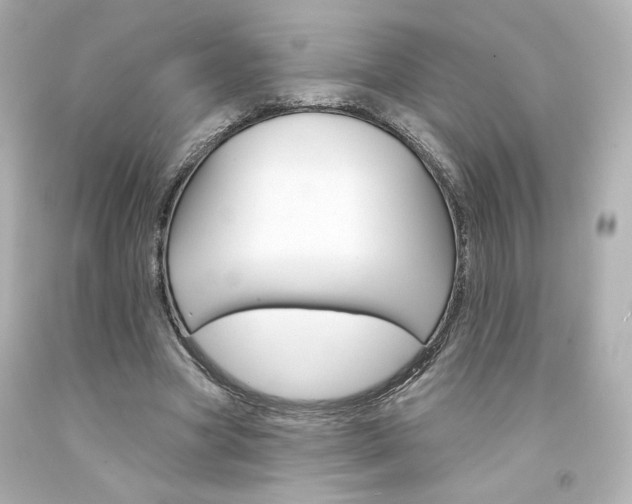 X0000094350537200711021315