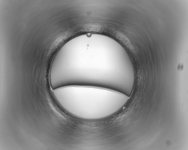 X0000094350538200711021315