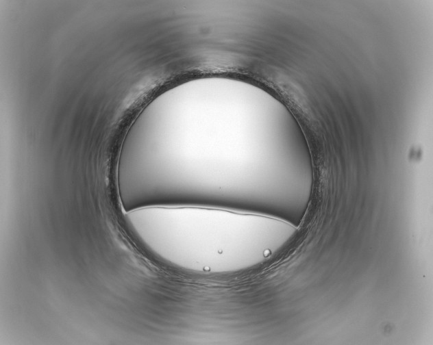 X0000094350539200711021315