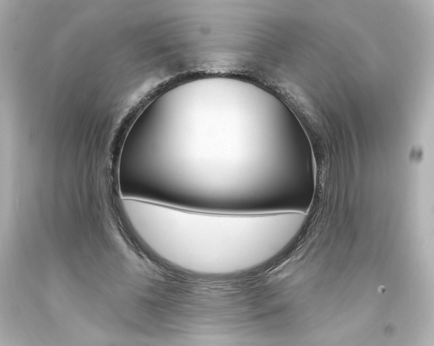 X0000094350540200711021315