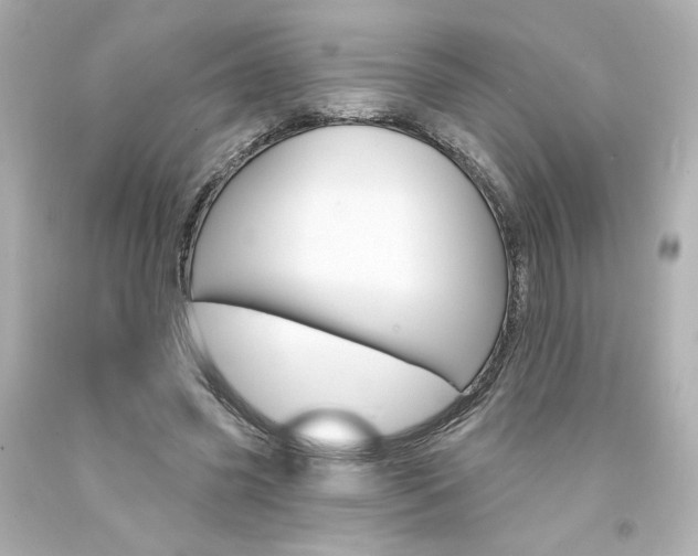 X0000094350541200711021316