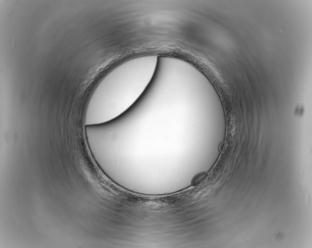 X0000094350542200711021316