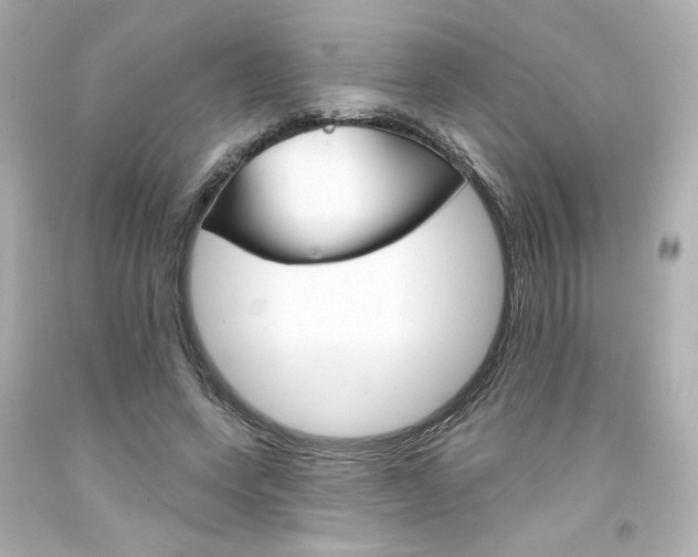 X0000094350543200711021316