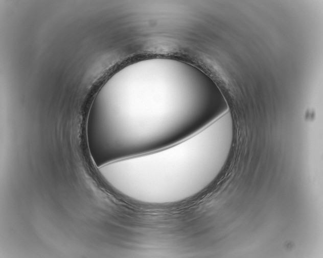 X0000094350544200711021316