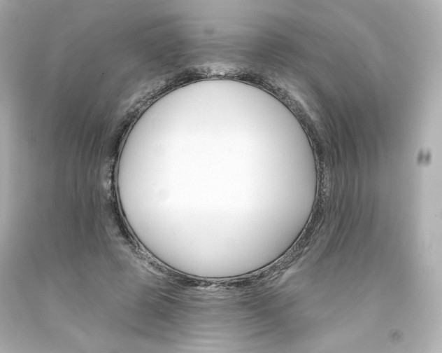 X0000094350545200711021316