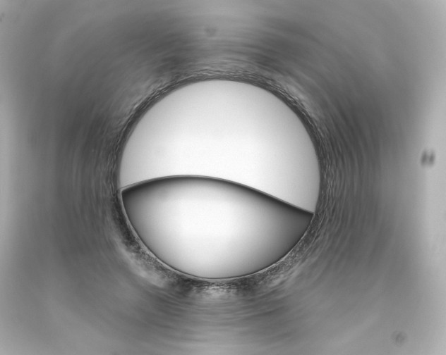 X0000094350546200711021316
