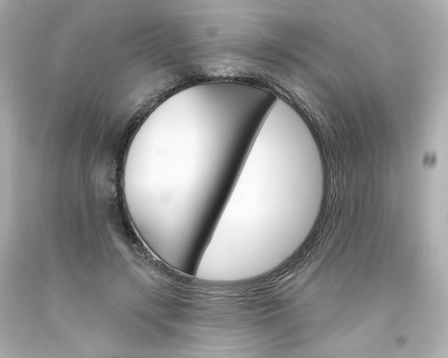 X0000094350547200711021316