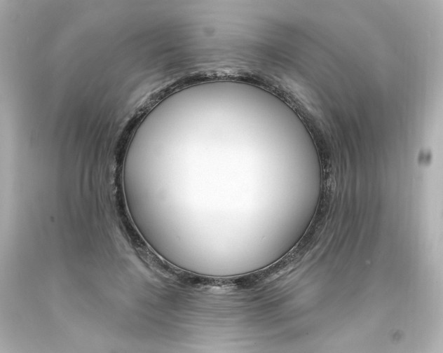 X0000094350548200711021316
