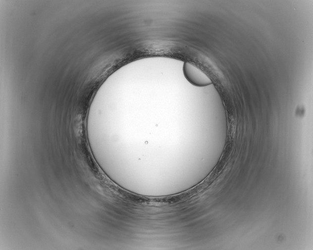 X0000094350549200711021316