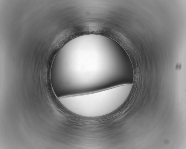 X0000094350552200711021316