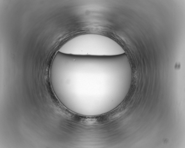 X0000094350554200711021316