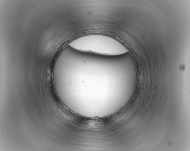 X0000094350555200711021316
